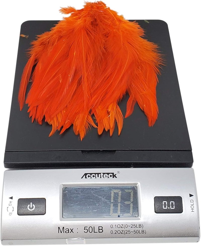 Creative Angler Saddle Hackle Fly Tying Materials - Natural Feathers for Wet Flies, Rooster Feathers, Hair Feathers for Crafts, Fly Tying Kit - Small Feathers Combo Pack of Steelhead Colored Feathers - Image 4